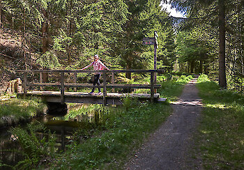 Bayerischer Wald Wanderweg